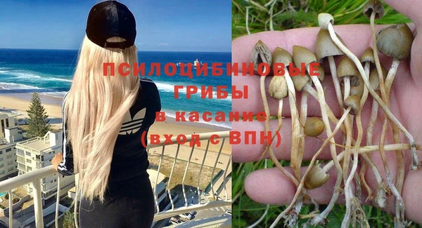 индика Туринск
