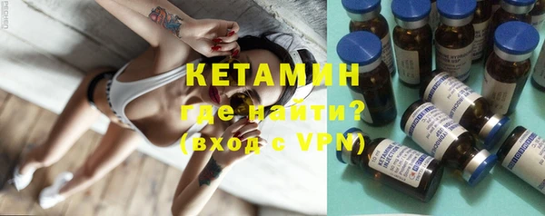 индика Туринск