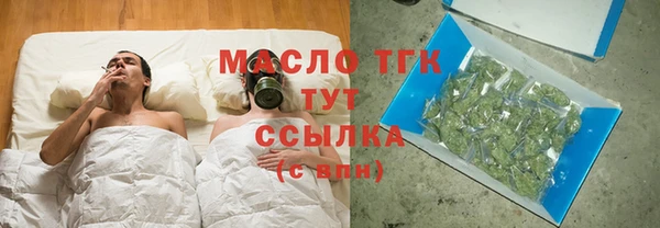 индика Туринск