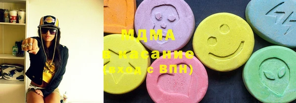 индика Туринск