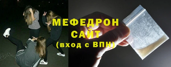 индика Туринск