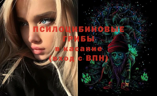 индика Туринск
