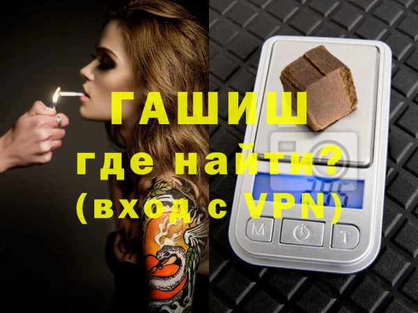 индика Туринск
