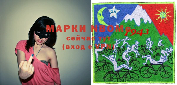 индика Туринск