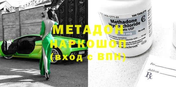 индика Туринск