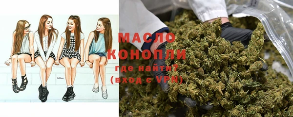 индика Туринск