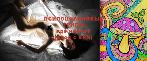 индика Туринск