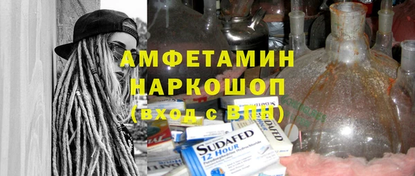 индика Туринск
