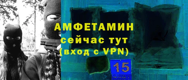 индика Туринск