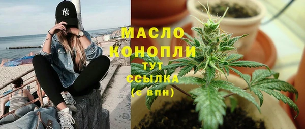 индика Туринск