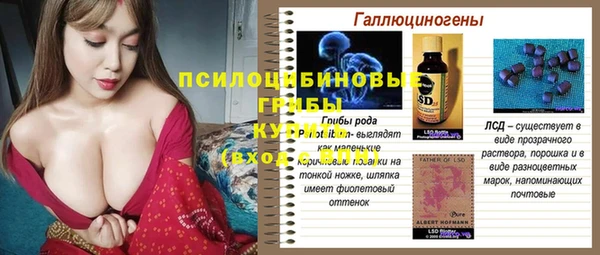 мдпв Тында