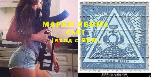 индика Туринск