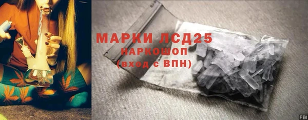 индика Туринск