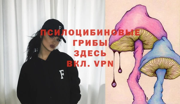 мдпв Тында