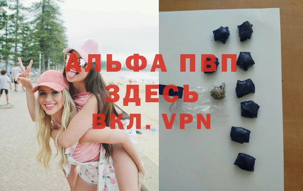 индика Туринск