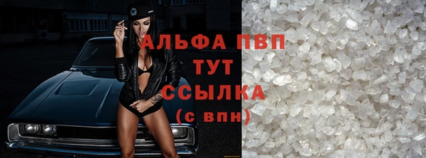 индика Туринск