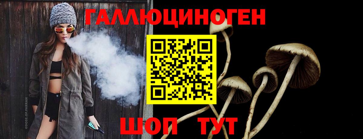 Махачкала  Галлюциногенные грибы Magic Shrooms  Вход с VPN 